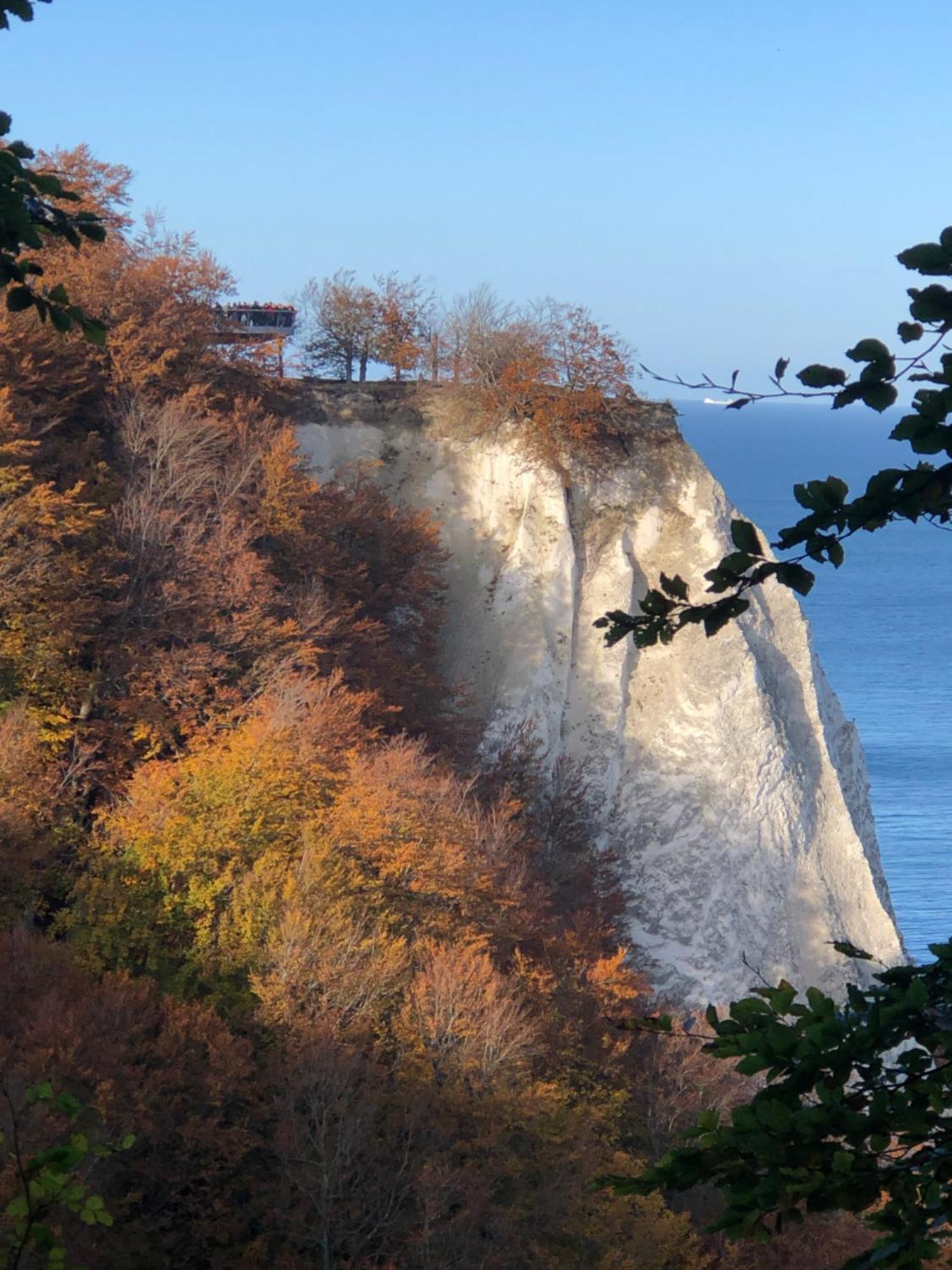 Möwe Im Ferien-resort Rügen