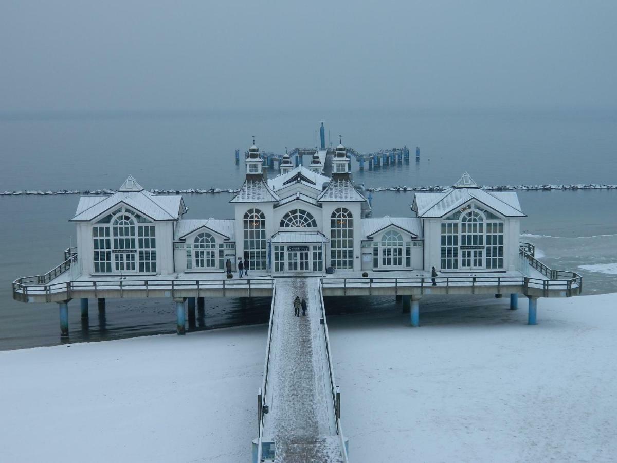 Möwe Im Ferien-resort Rügen * Sagard